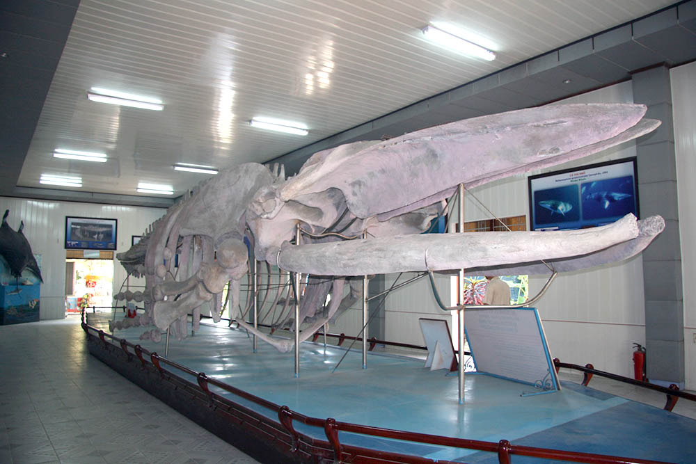 Aquarium Institute Nha Trang