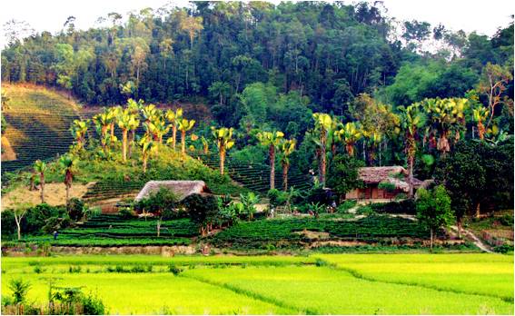 Bản Áng