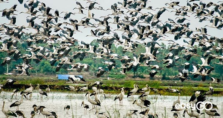 Bang Lang Stork Sanctuary