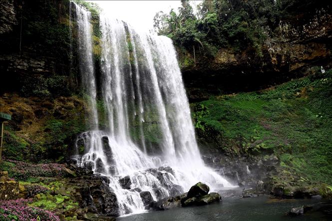 Dambri Waterfall