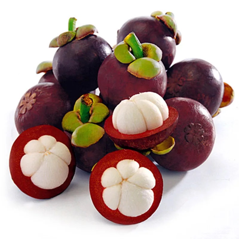  Fresh Mangosteen with white juicy pulp - Ms KiO HYUNH + 84 34 375 8904