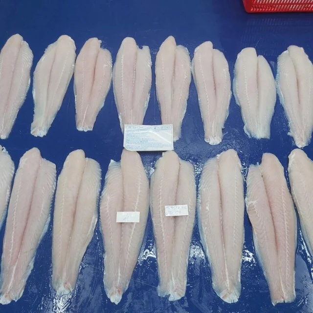  FROZEN PANGASIUS FILLET FROM VIETNAM