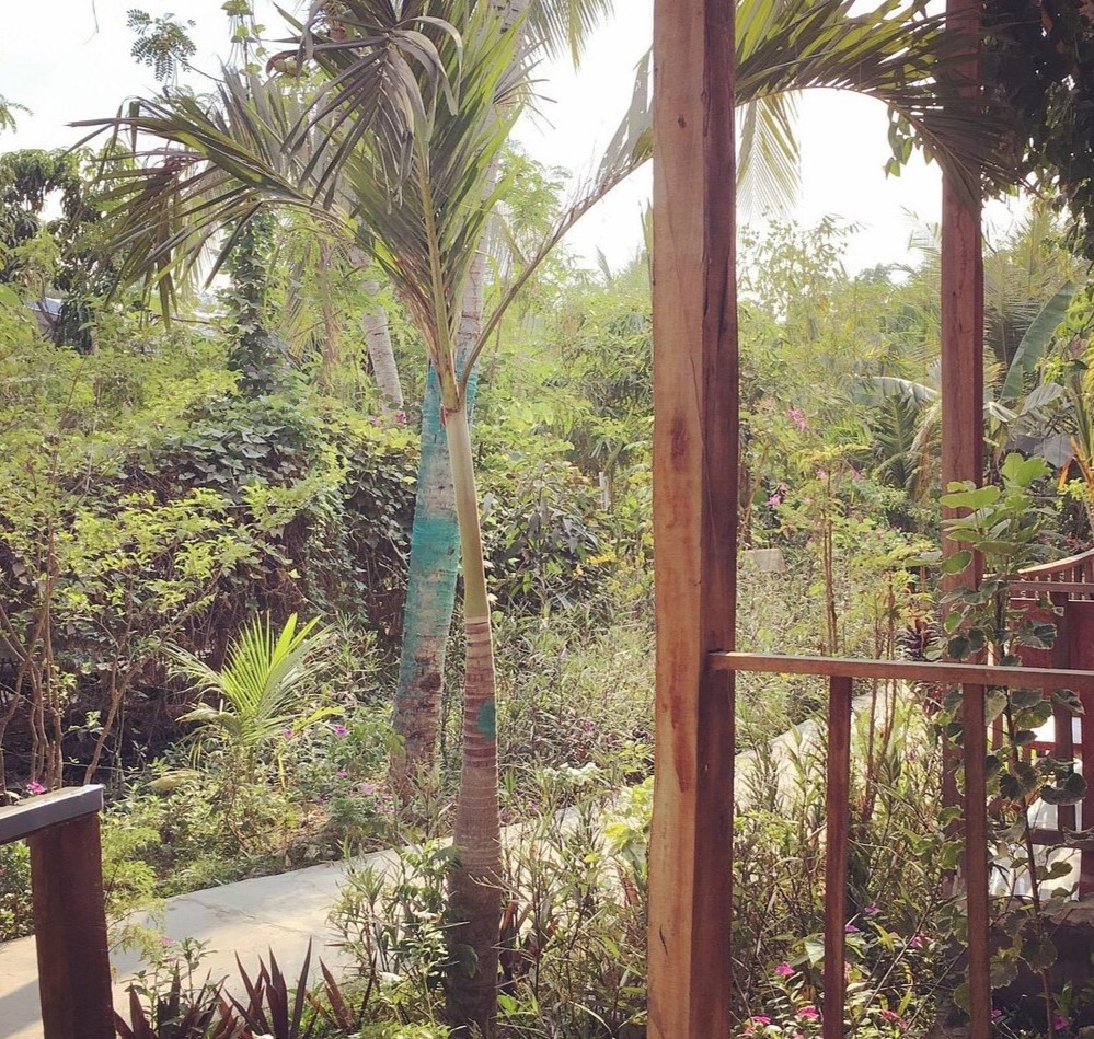 Green Garden Homestay