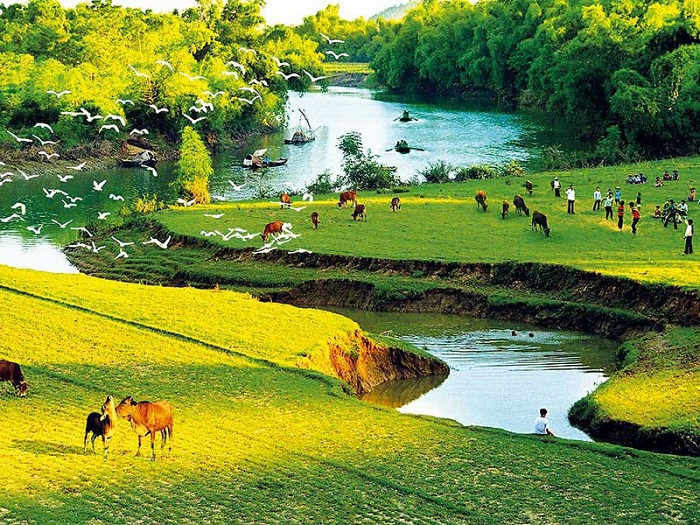 Hai Luu Stork Garden