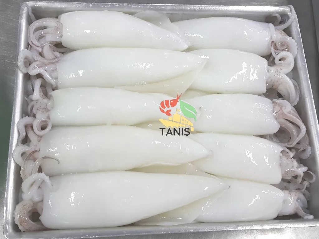  High Quality Frozen Cleaned Squid From Vietnam Manufacture