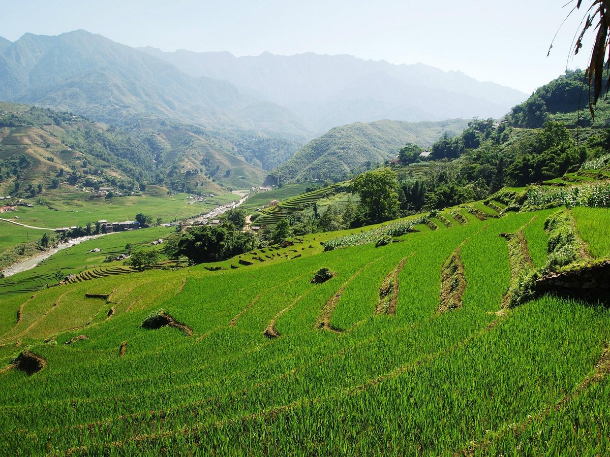 Hmong Mountain Retreat