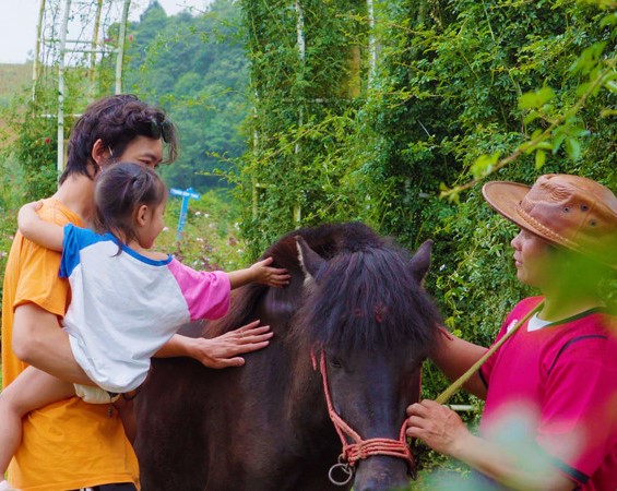 Hội An Children Zoo and Horse Riding