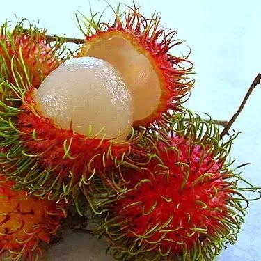  Exporting rambutan fruit origin Vietnam