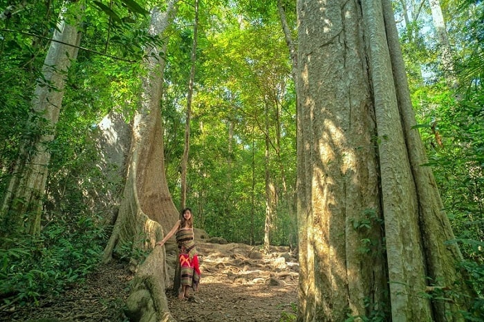 Lo Go Xa Mat National Park