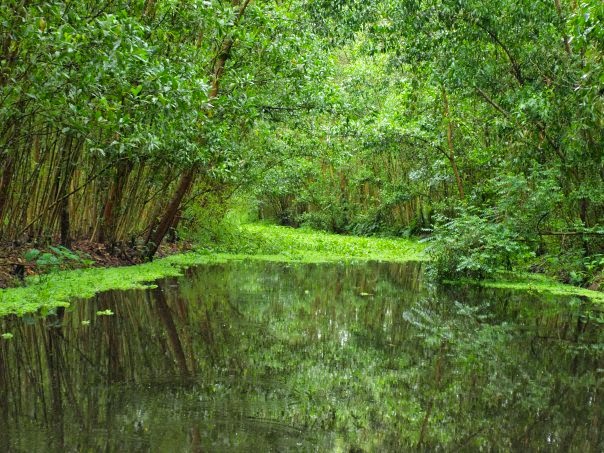 Lung Ngoc Hoang Nature Reserve