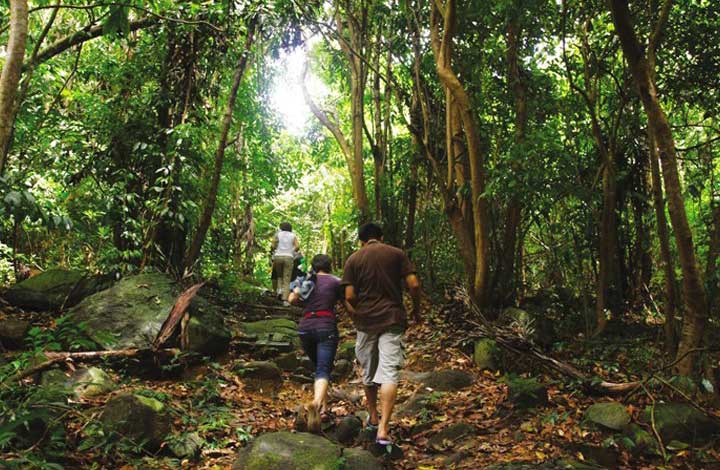 Ong Dung Natural Forest