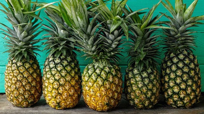  Sweet Fresh Pineapple - Organic Pineapple for EU, USA, Japan, UAE, Korea Market from Vietnam with best quality