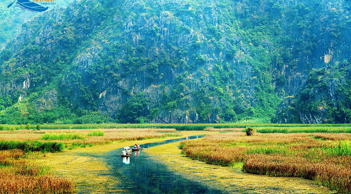 Van Long Lagoon