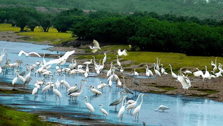 Xuan Thuy National Park