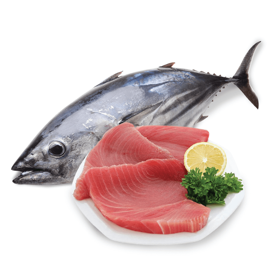 Tuna