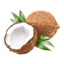 Coconut