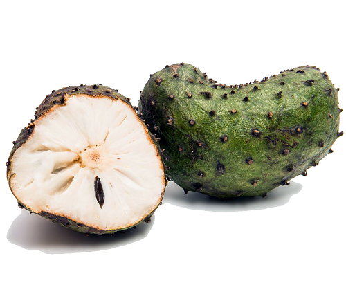 Soursop